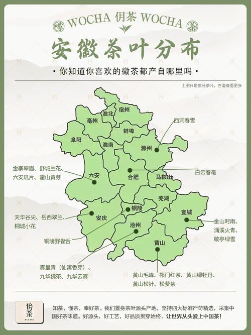 淮北茶叶市场在哪里-图1