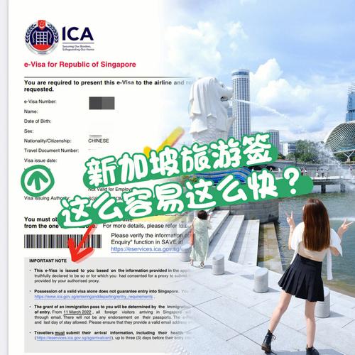 去哪里办新加坡签证-图2