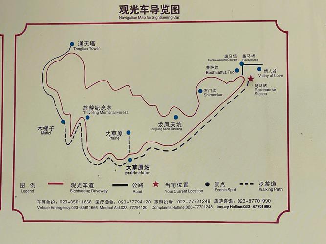 重庆仙女山景区门票-图1