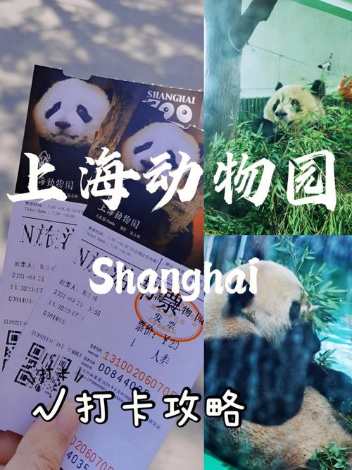 上海动物园附近有什么好吃的-图3