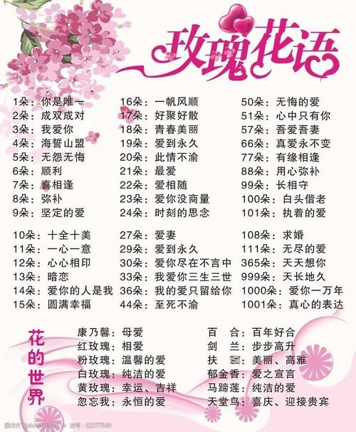 19朵玫瑰花的花语是什么-图2