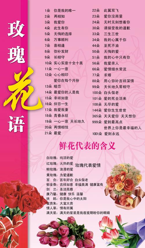 19朵玫瑰花的花语是什么-图1