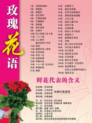 24朵玫瑰花代表什么意思-图2