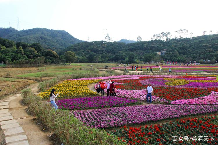 春天南部山区哪里好玩-图1