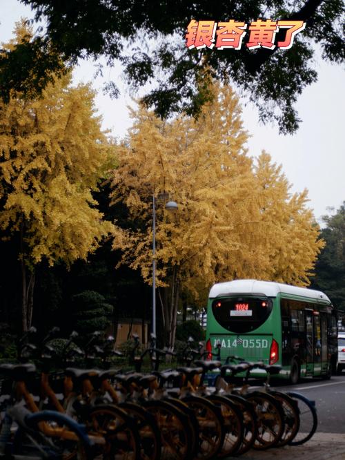 黄什么南路-图2