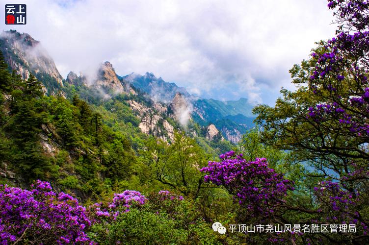 鲁山尧山花海门票-图2