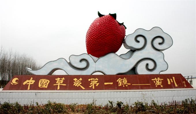 浙江草莓之乡在哪里-图2