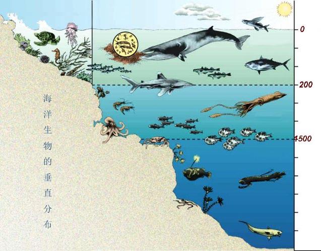 海洋动物世界在哪里-图1