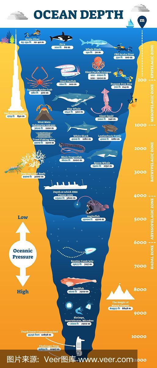 海洋动物世界在哪里-图2