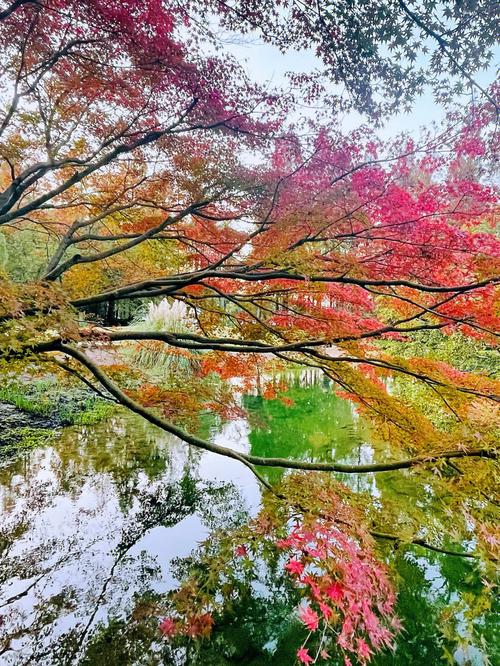 杭州适合什么季节去-图2