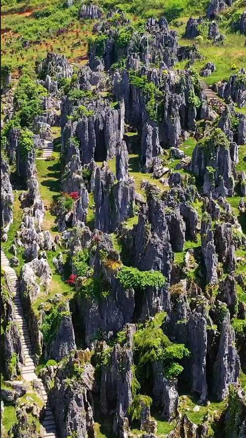 贵州天然石林在哪里-图2