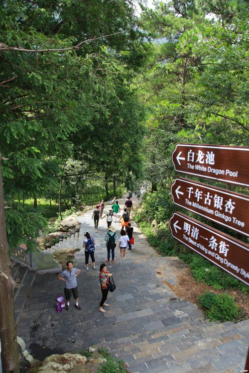 随州市到大洪山风景区-图1