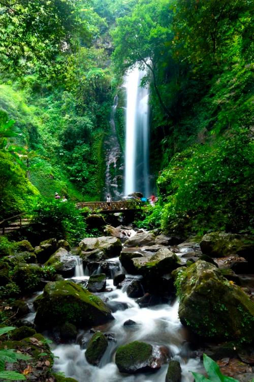 瑞丽热带亚热带雨林风景区-图2