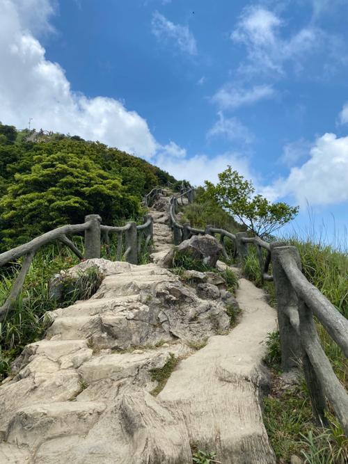 深圳市梧桐山风景区管理处-图3