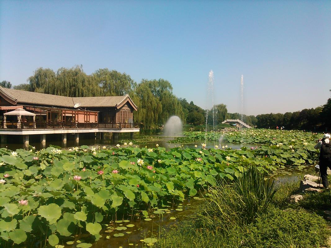 圆明园风景区-图1