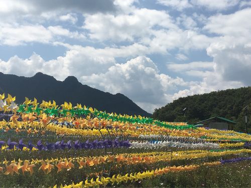 羊角山风景区-图1