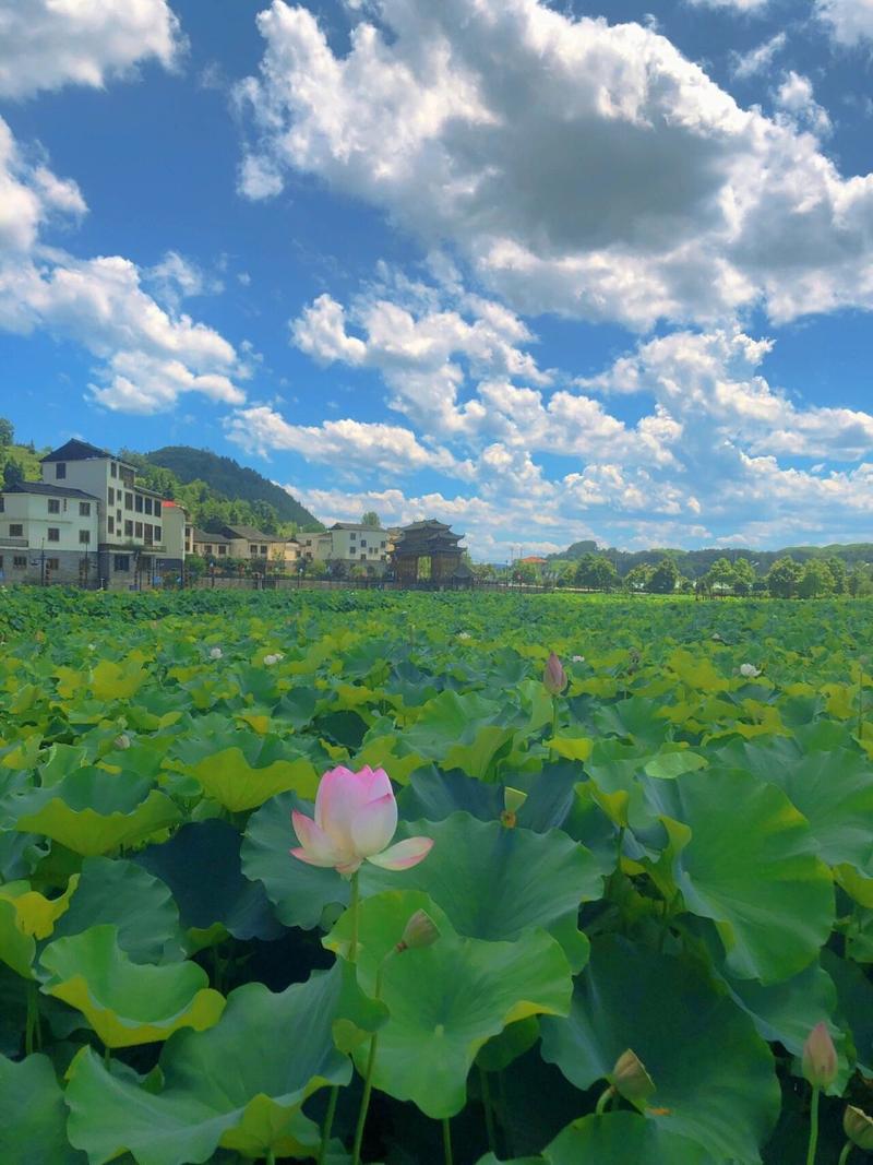 贵州岑巩风景区-图1