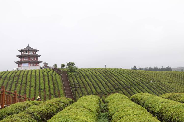 贵州黎平风景区-图1