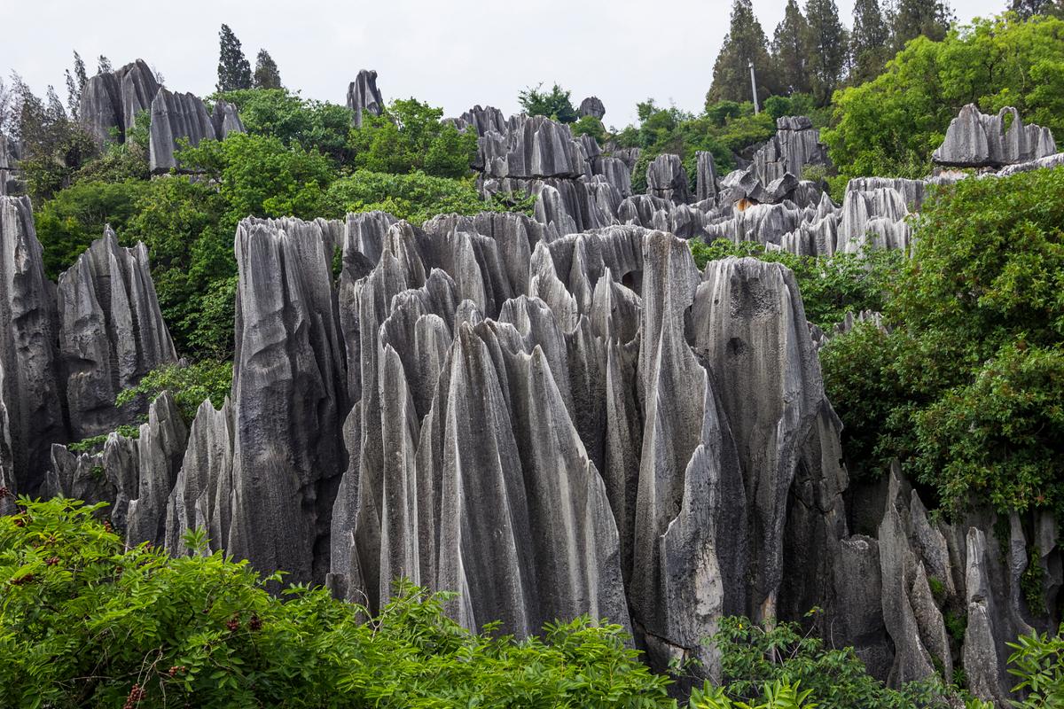 曲靖石林风景区-图3