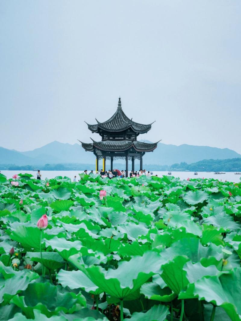 杭州风景区西湖-图3