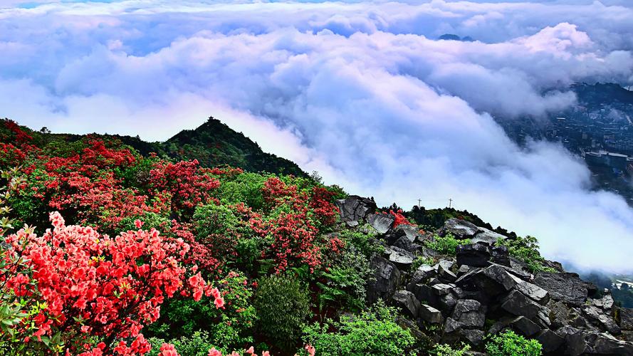 龙泉区风景区-图2