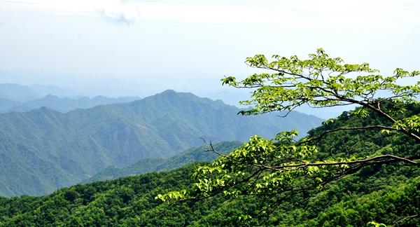 沧浪山风景区-图1