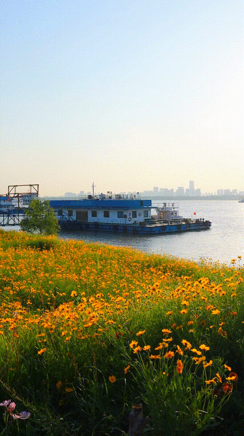 南京江边风景区-图2
