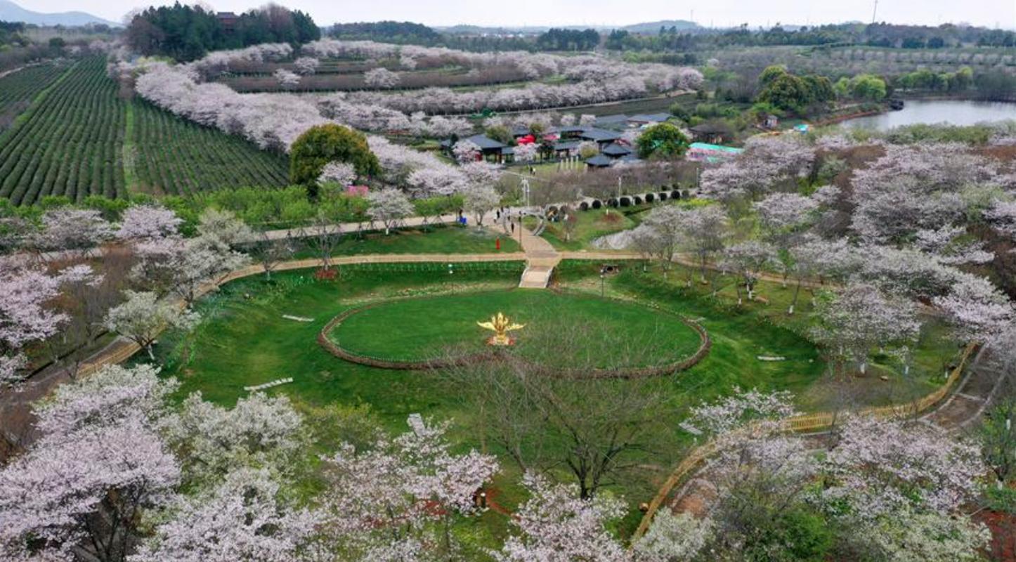 凤凰沟风景区电话-图2