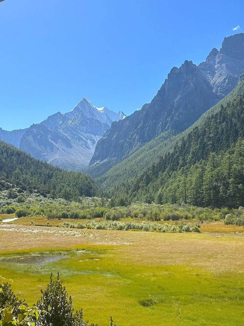 雅安名山风景区-图1