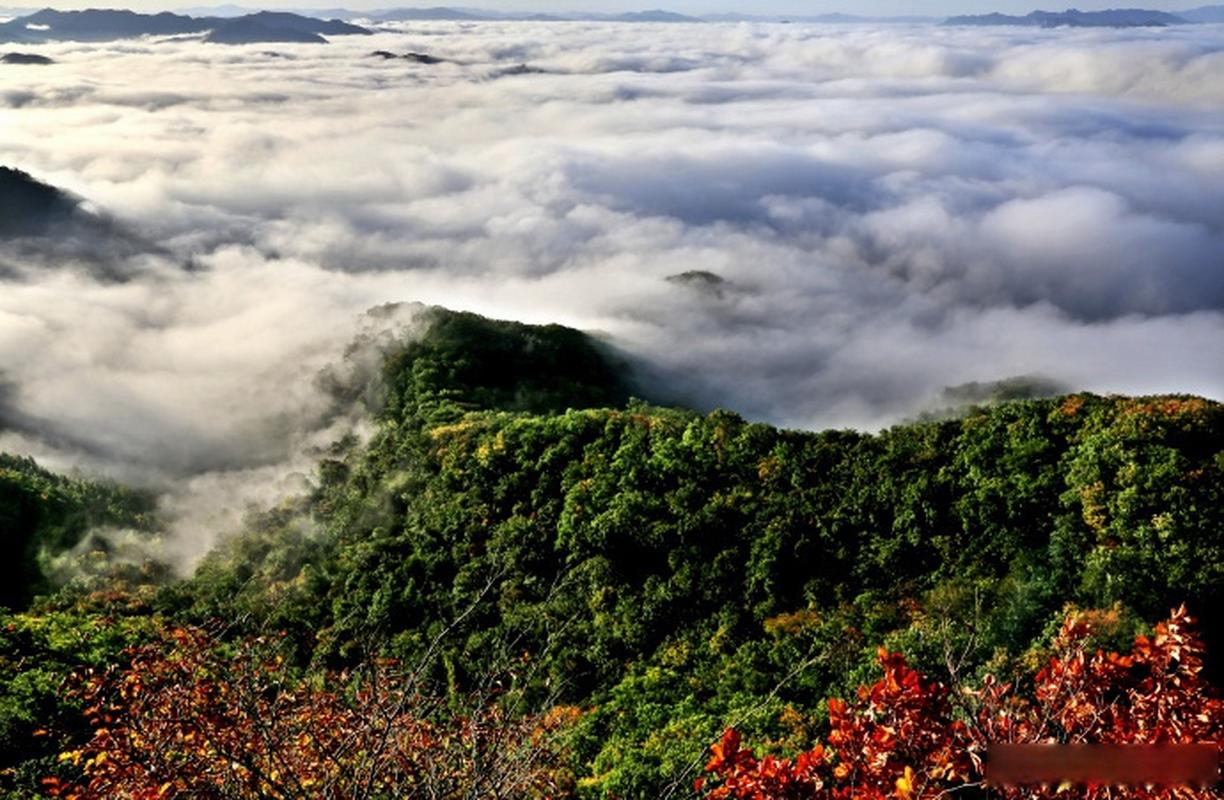 天女山风景区电话-图1