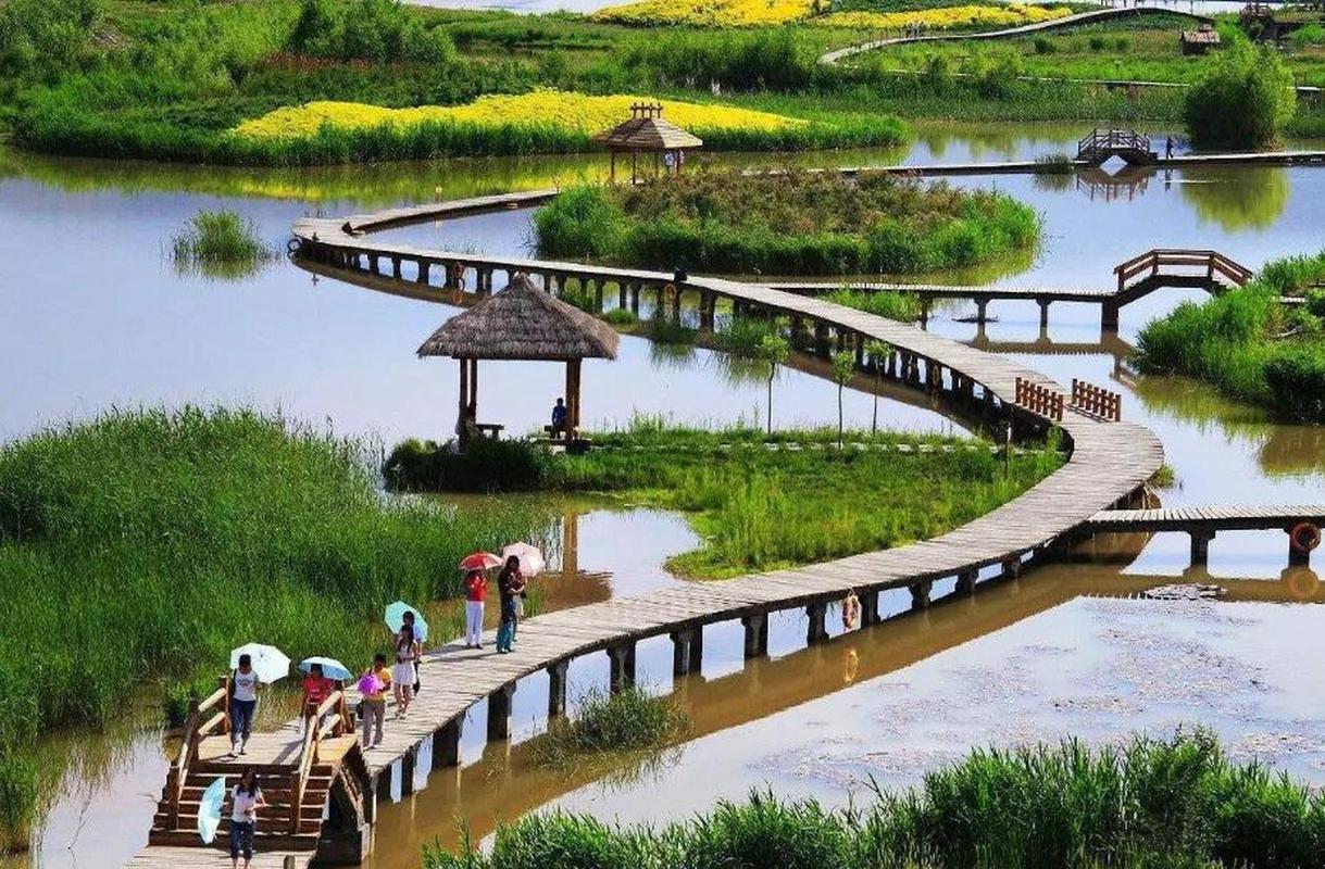郑州黄河湿地风景区-图1