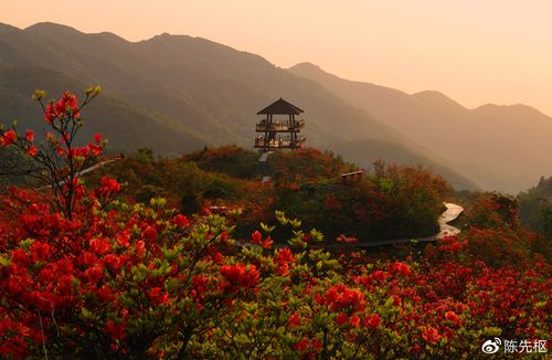 浏阳有哪些风景区-图1