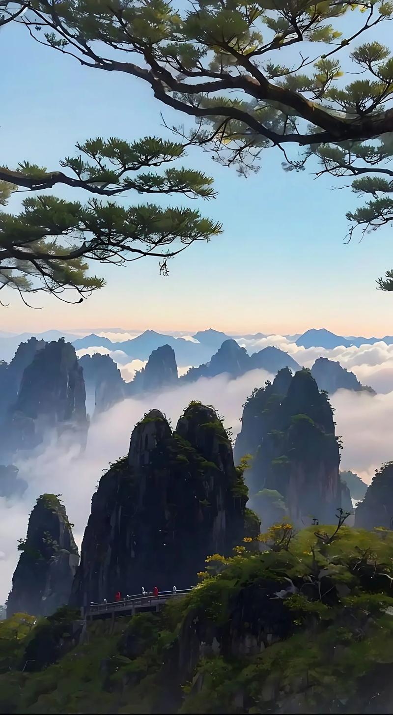 黄山风景区实景-图1