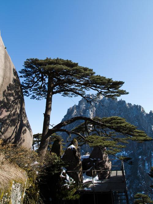 黄山风景区实景-图3