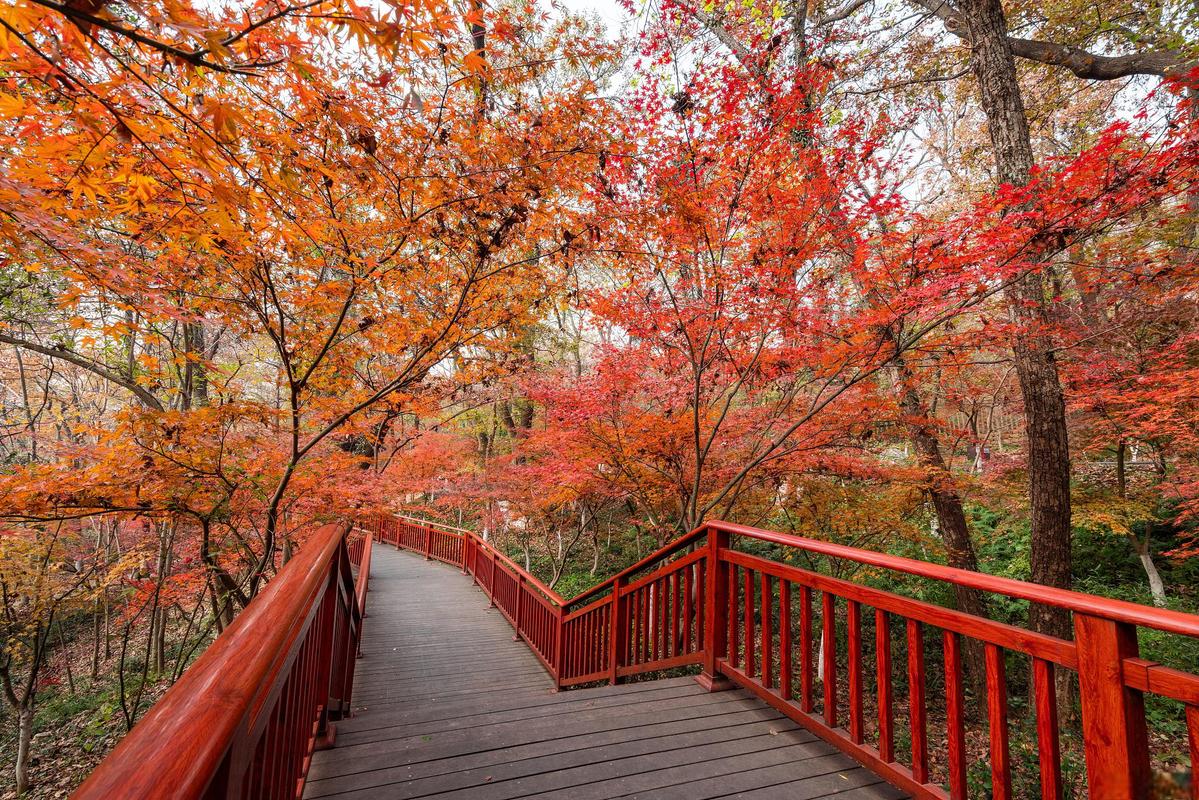 清原筐子沟风景区-图1