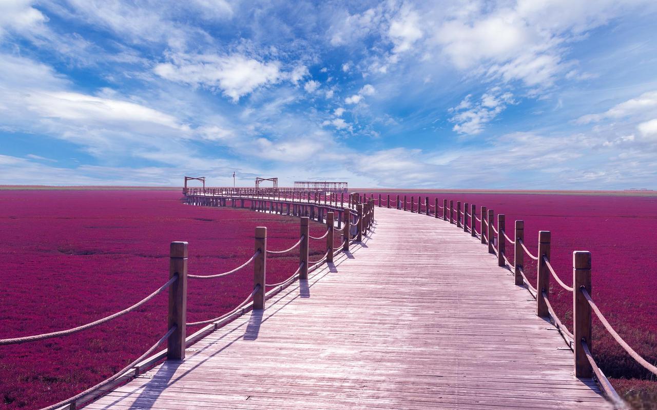 红海滩风景区景点-图1