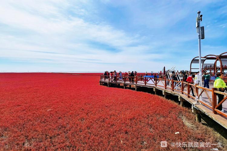 红海滩风景区景点-图3