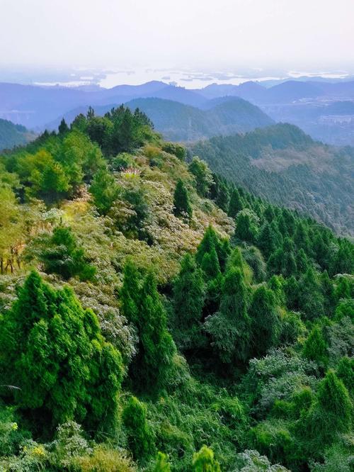 贵州龙泉山风景区-图2