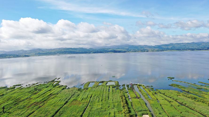 贵阳草海风景区-图1