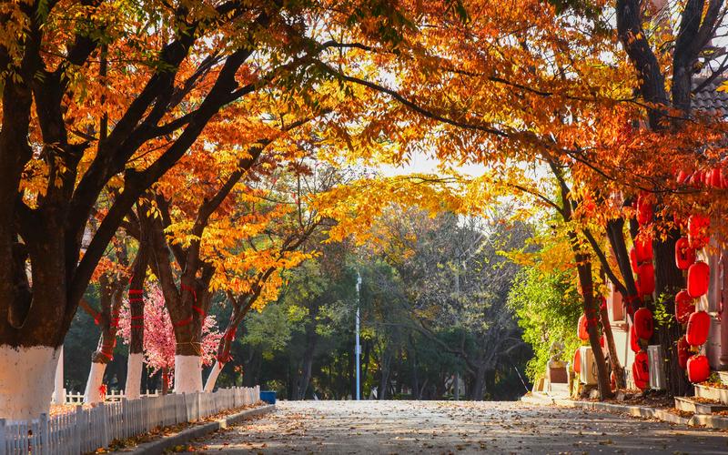 大连太阳沟风景区-图2