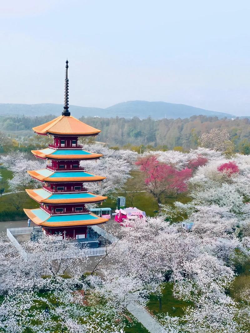 宁波杖锡风景区-图2