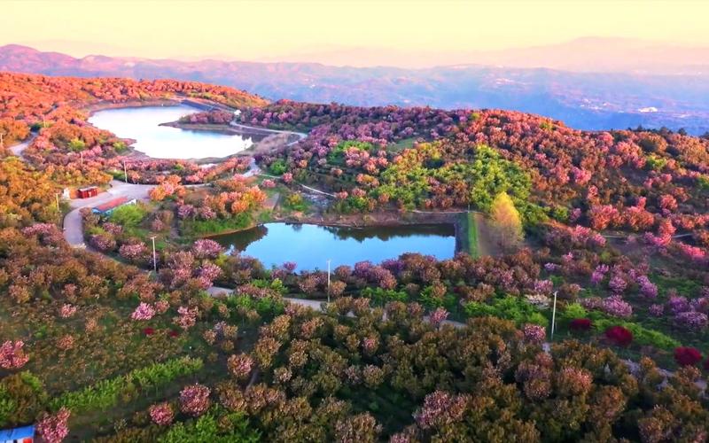 宁波杖锡风景区-图1