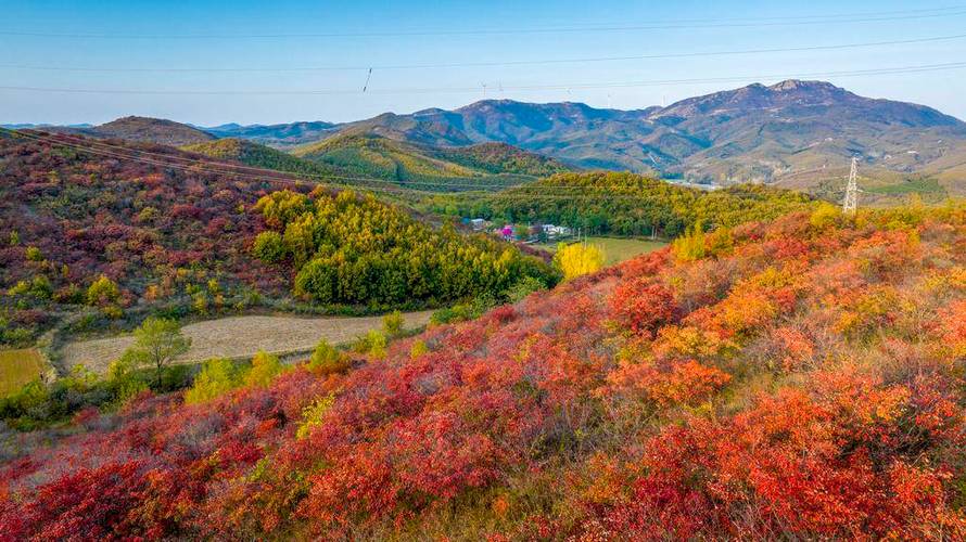 竹沟镇风景区-图2