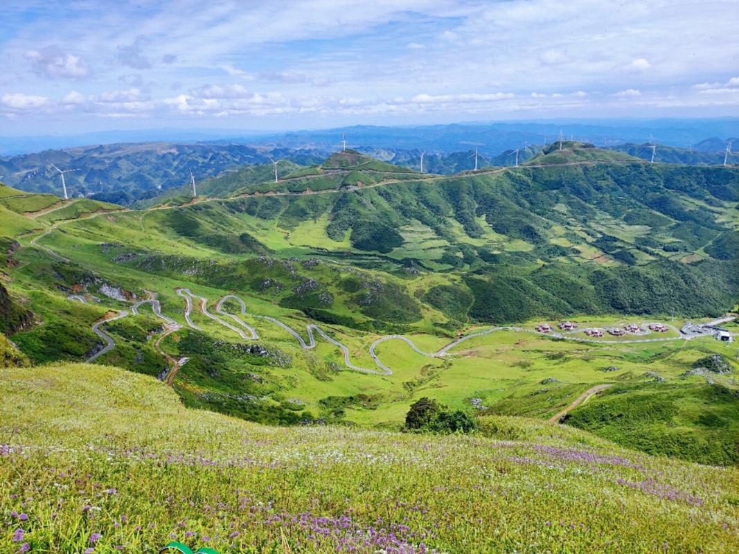 贵州阿里西里风景区-图1