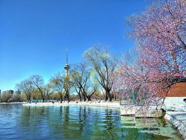 春季北京哪个风景区-图2