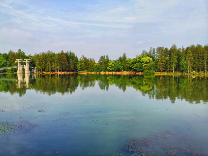 武汉东湖落雁风景区-图3