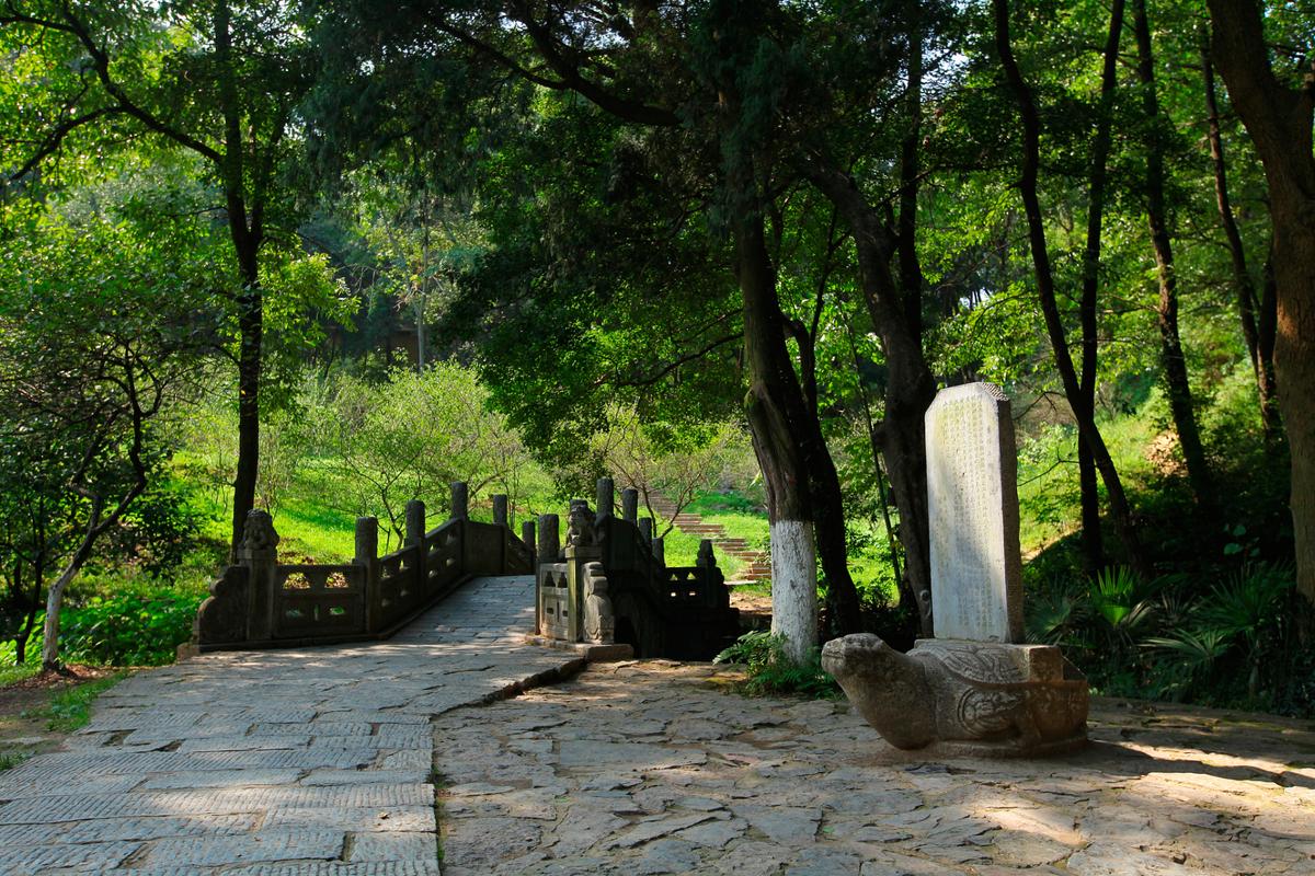 浦口老山风景区-图2