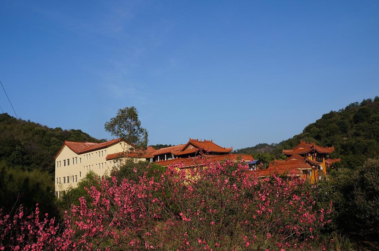 梅红山风景区-图1