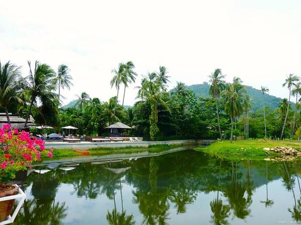 深圳好玩的风景区-图2