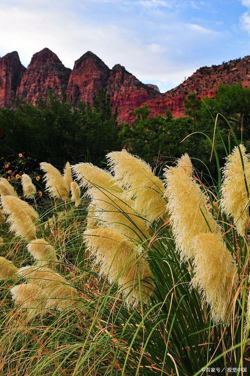 大连大芦花风景区-图2